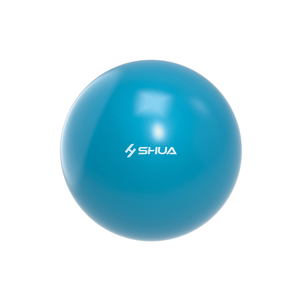 S511瑜伽球